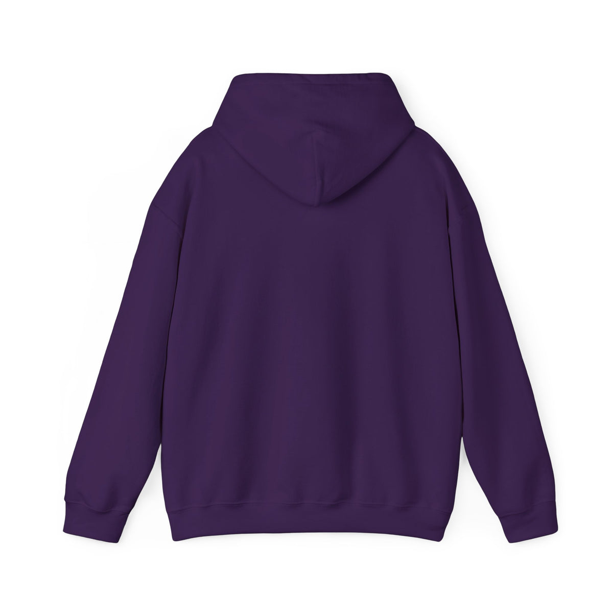 RGIC Unisex Pullover Hoodie