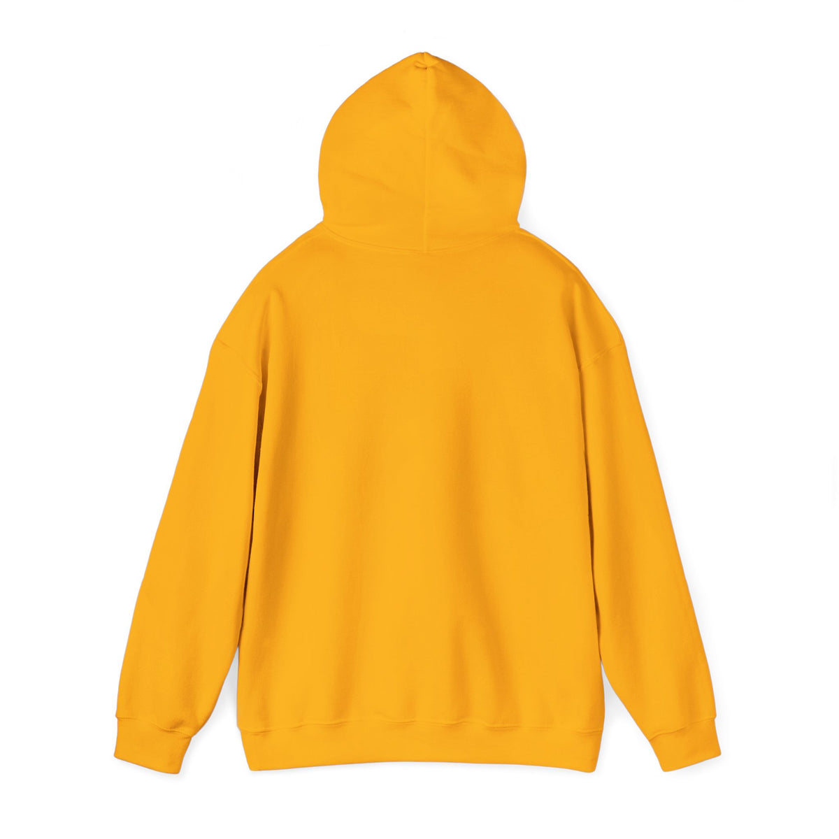 RGIC Unisex Pullover Hoodie